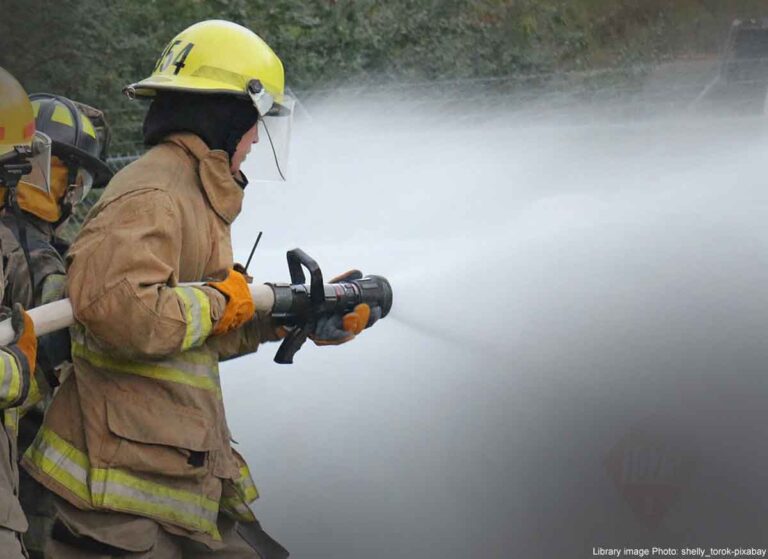 fire-fighters-1762073_1920shellytorokpixb
