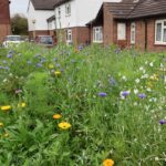 Ashford residents bloom with new sensory garden