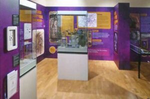 Digging Up Dilemmas: Ancient Remains Spark Modern Debate at The Beaney Museum in Canterbury